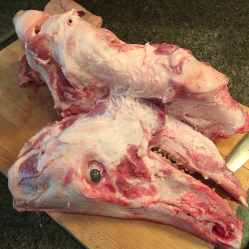 [1-001-003] Pork Skull - Craneo