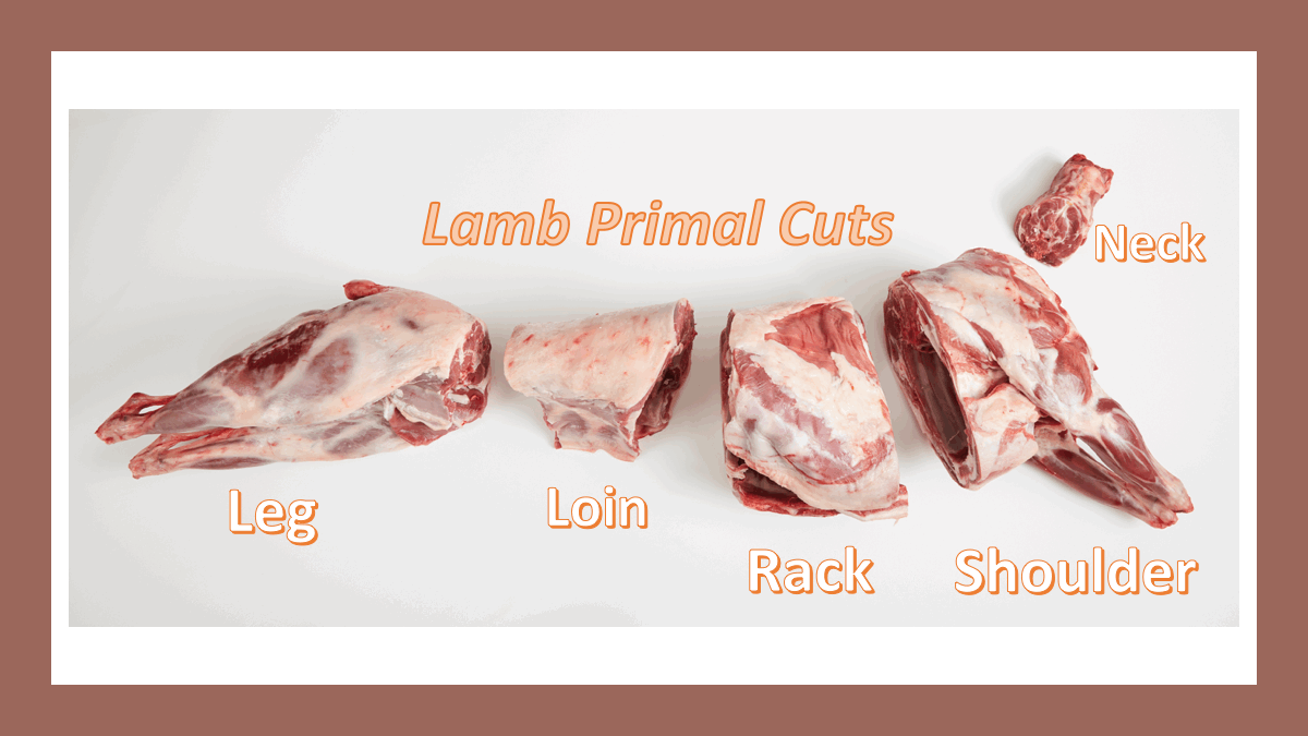 [3-000-002] Processed Lamb/Cordero
